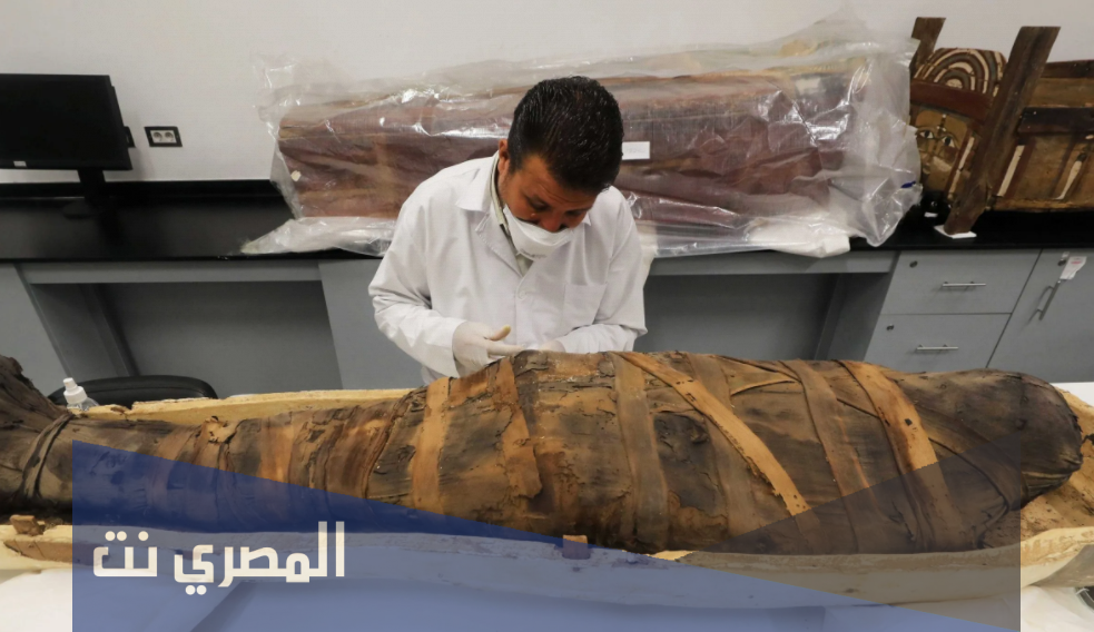 كم هو طول فرعون الحقيقي