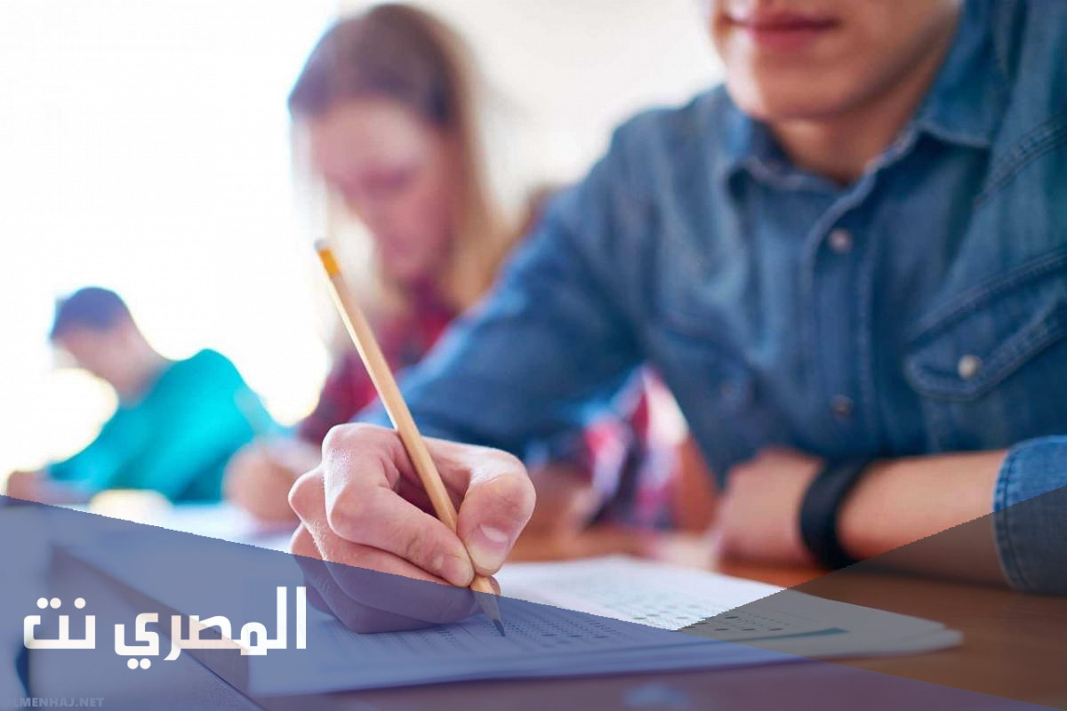 كيف أحسب نسبتي في المتوسط
