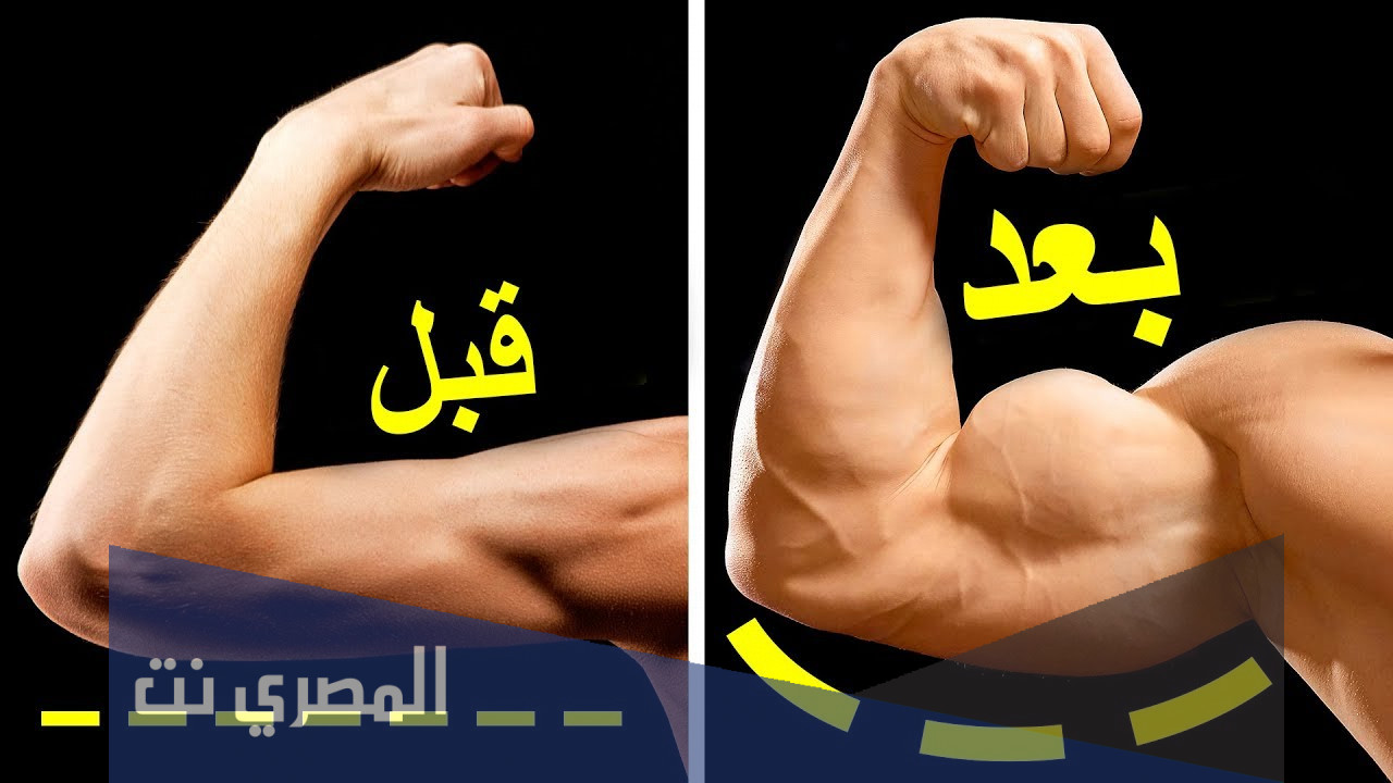 كيف نجعل عضلاتنا اكبر