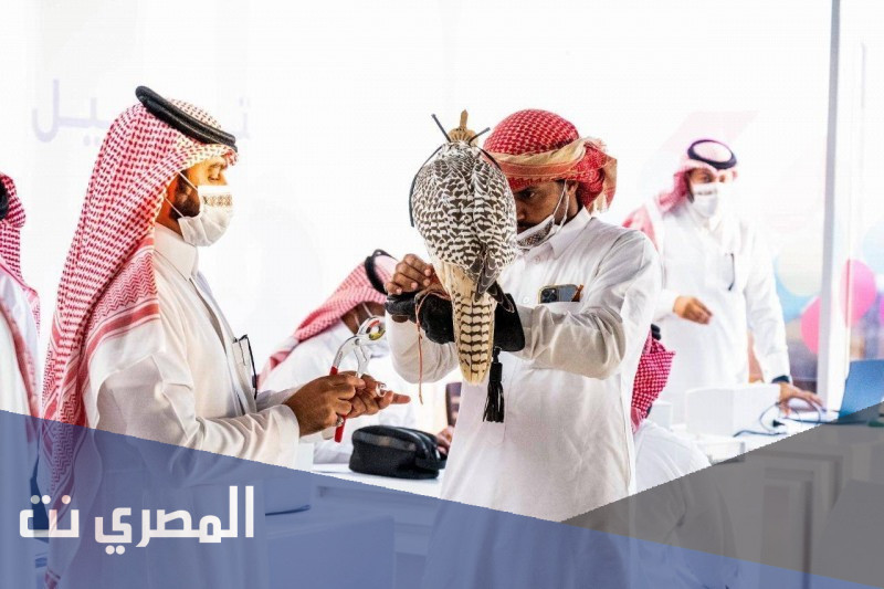 كيفية التسجيل في كأس موسم الرياض للصقور 2021