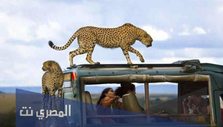 ما هي عاصمه كينيا