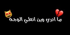 ما ادري وين انطي الوجه قلبي علينا كلمات