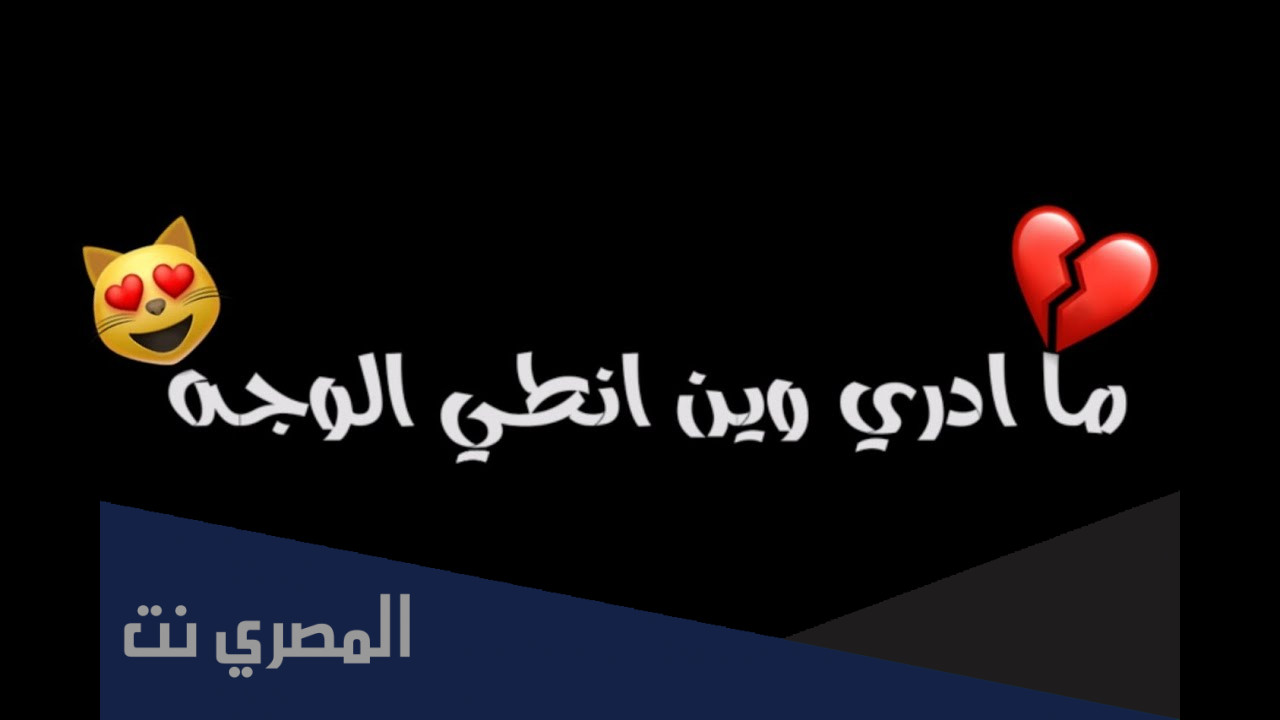 ما ادري وين انطي الوجه قلبي علينا كلمات