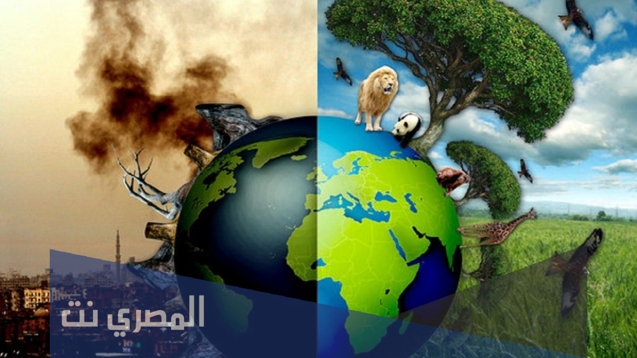 ما مقترحاتك للوصول الى بيئة نظيفة