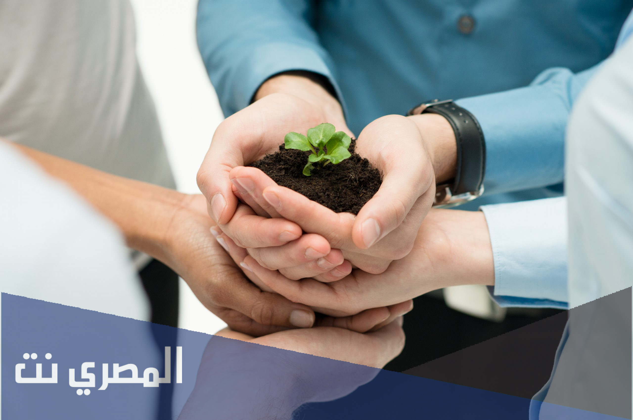 ما هو التعاون الذي يحث عليه الإسلام