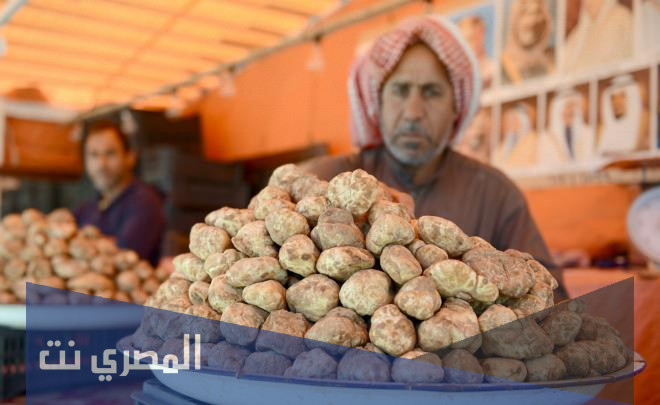 ما هو الفقع السعودي