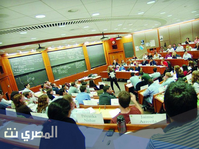 ما هو الماجستير التنفيذي
