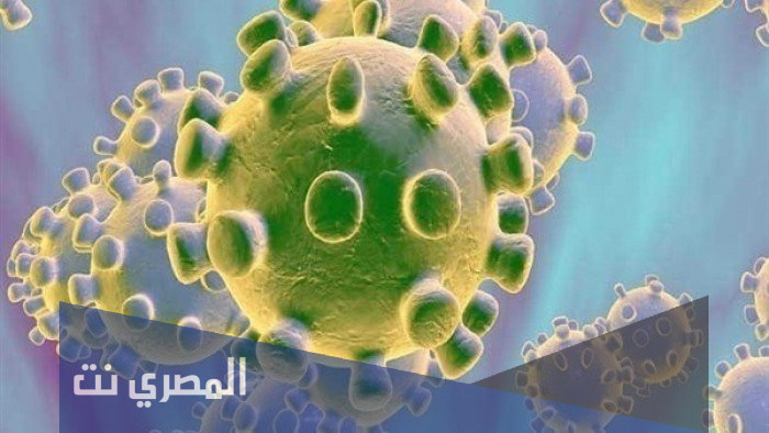 ما هو فيروس هيهي في الصين