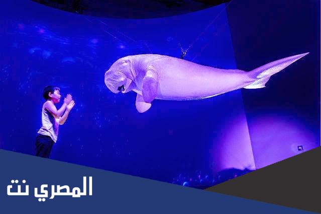 ما هي تقنية الهولوجرام ويكيبيديا