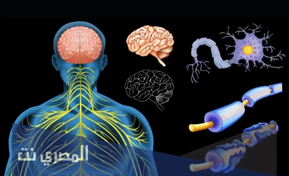 ما هي عوارض متلازمة غيلان باريه