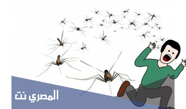 ما هي وسائل مكافحة البعوض