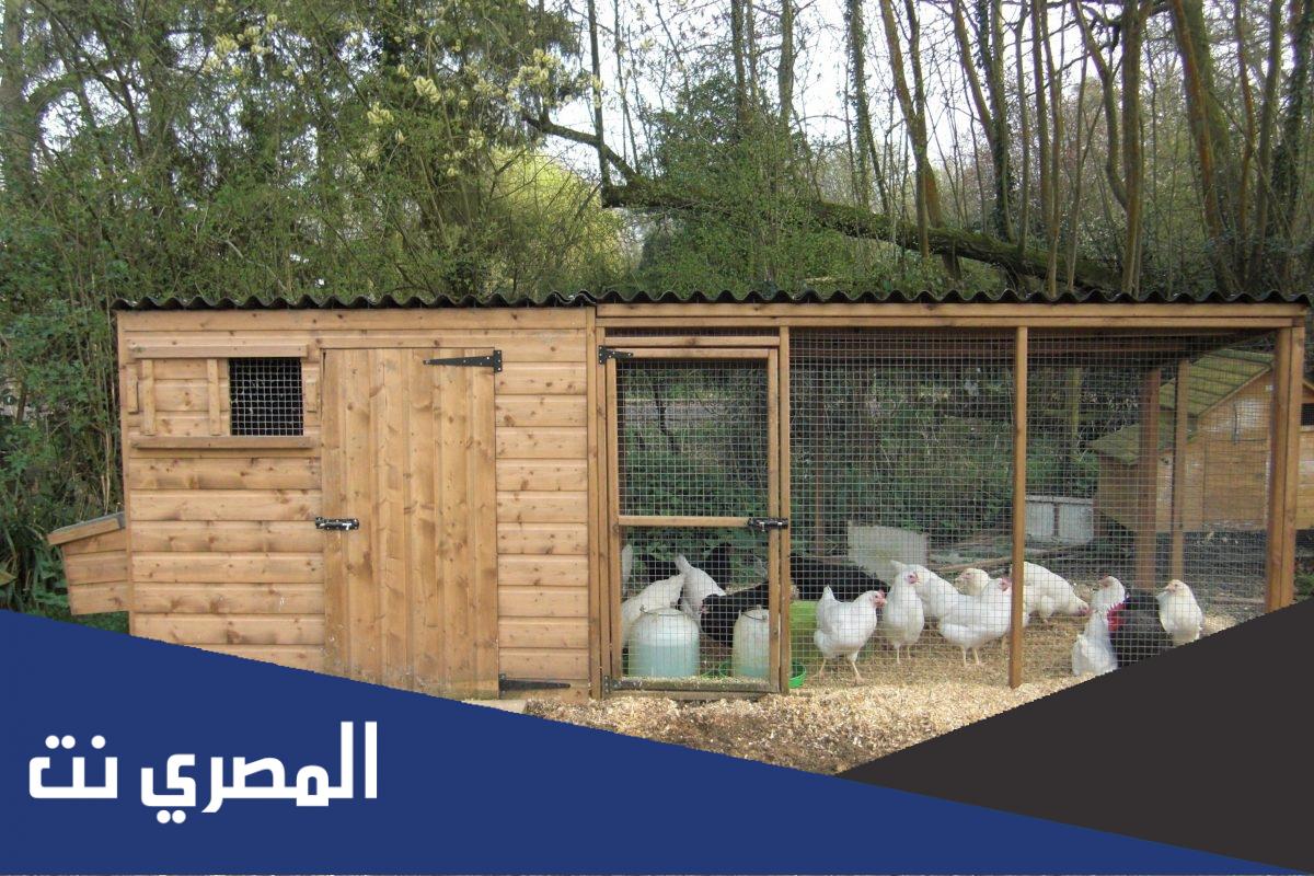 ماذا يسمى بيت الدجاج