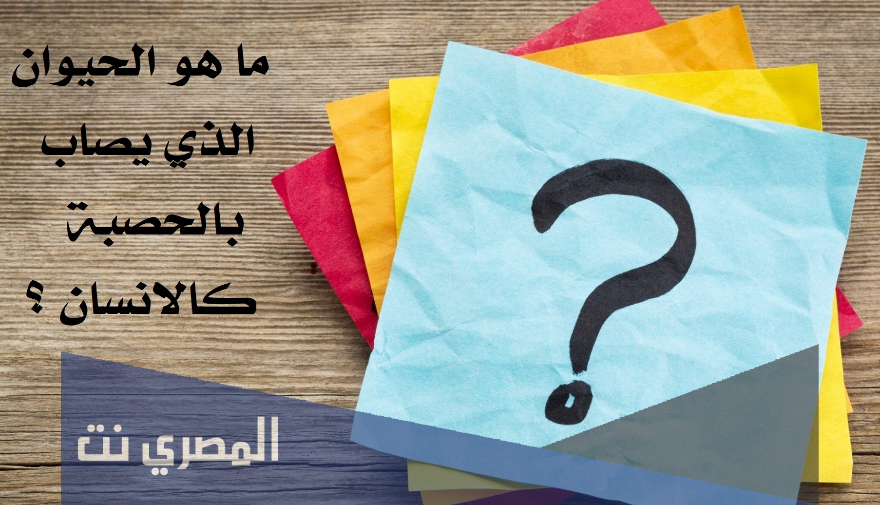 ماهو الحيوان الذي يصاب بالحصبة كالانسان
