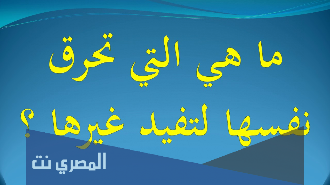 ماهي التي تحرق نفسها لتفيد غيرها