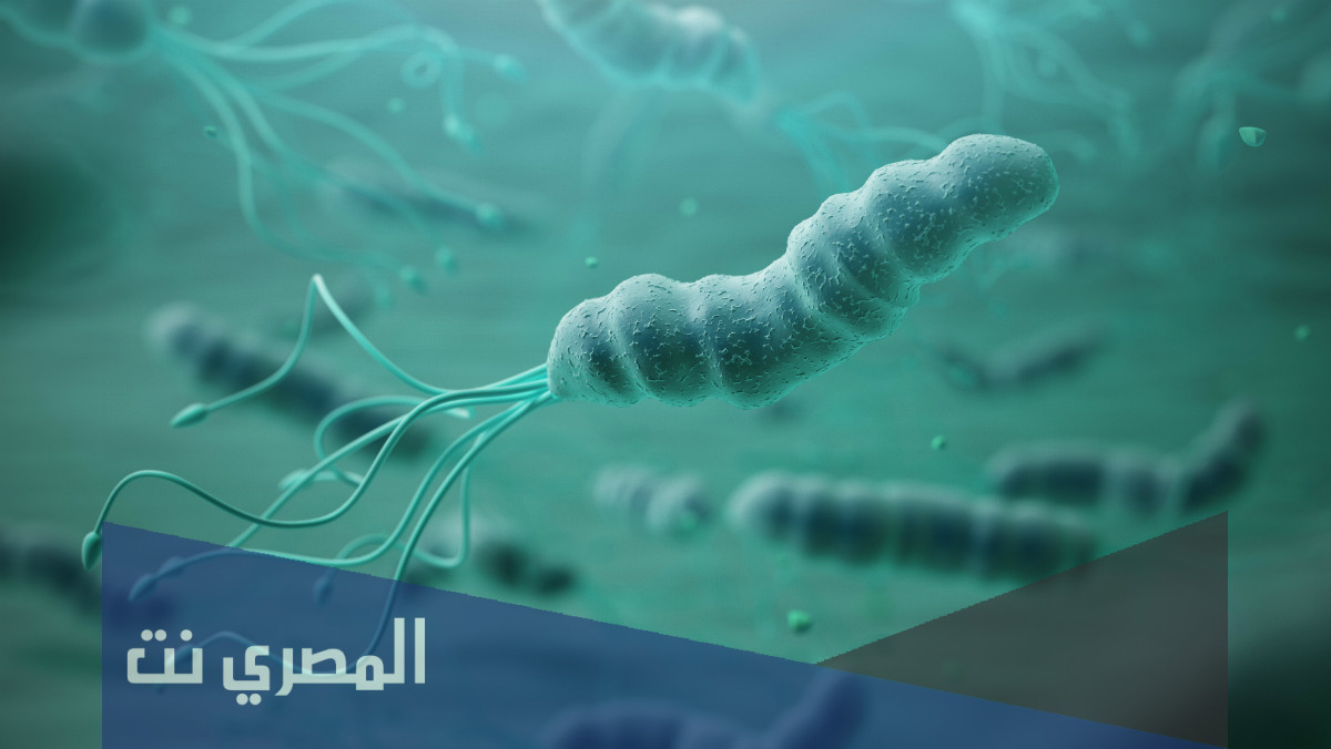 متى تموت جرثومة المعدة