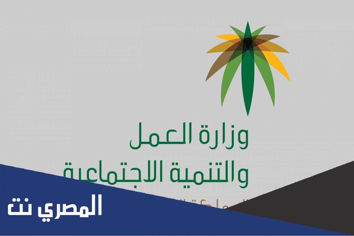 متى ينزل الضمان المطور