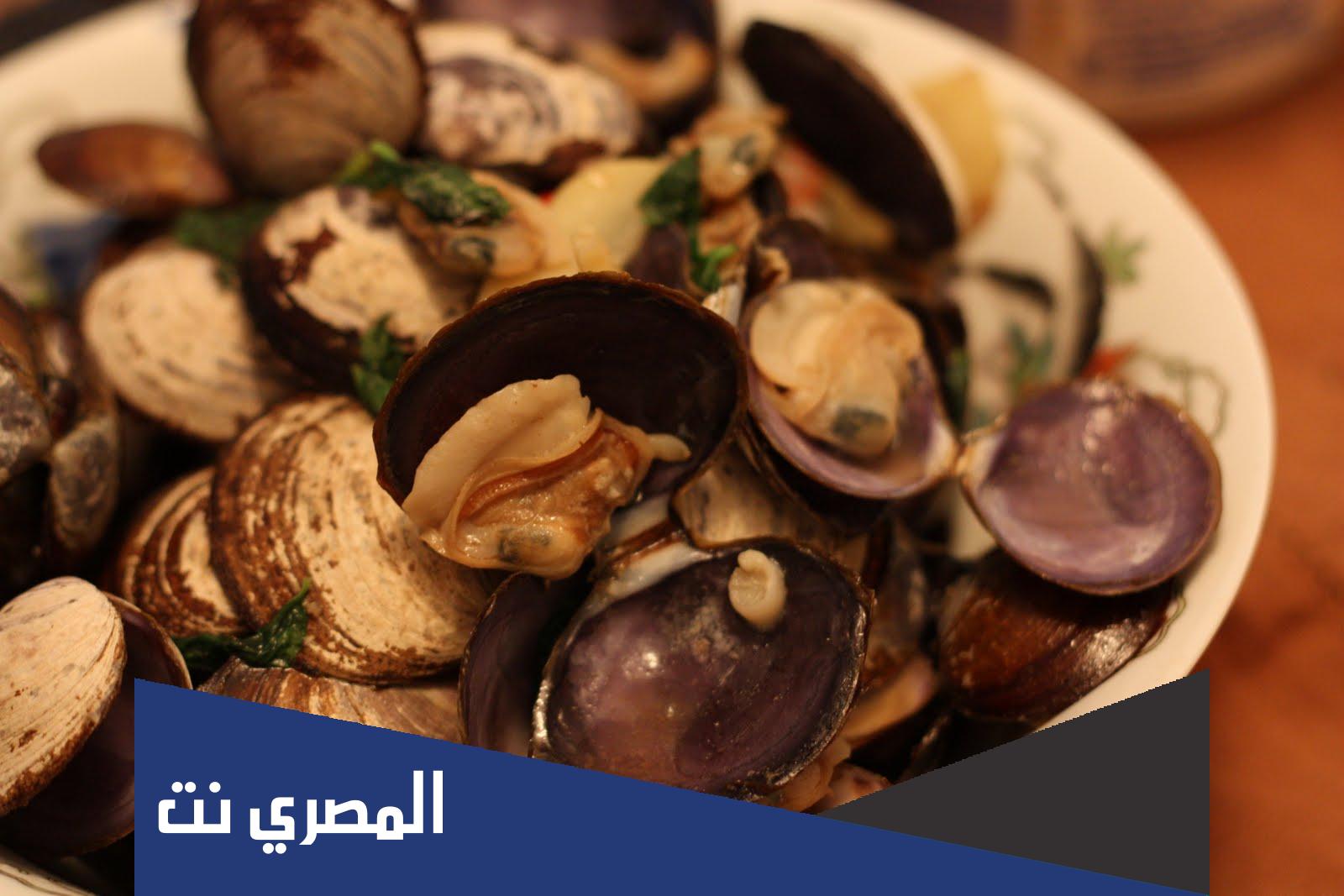ما هو محار الدجاج