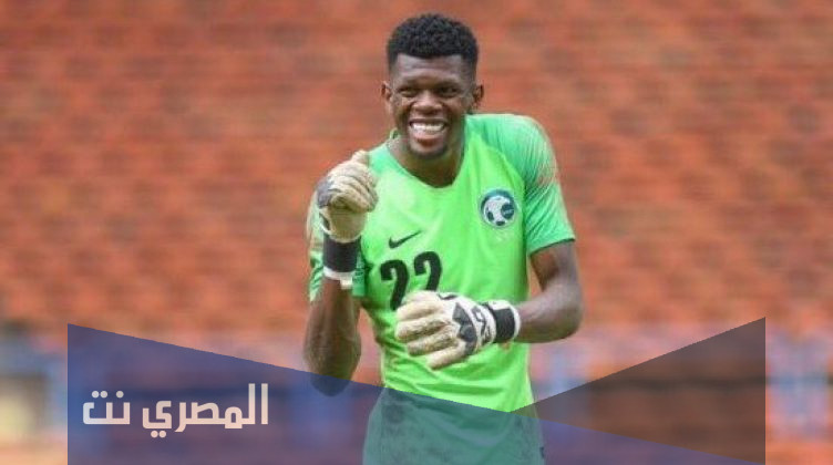 من هو محمد الربيعي ويكيبيديا