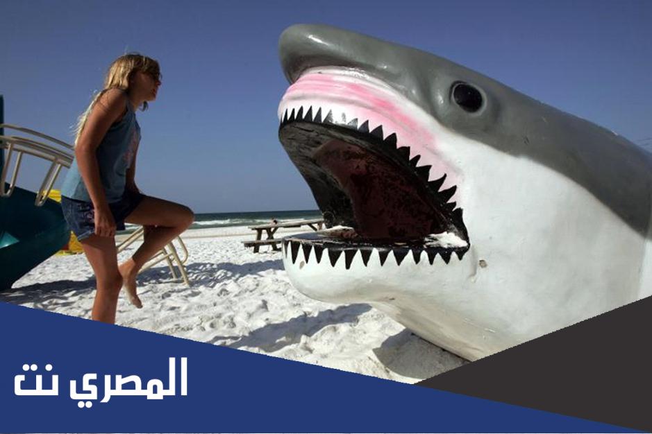 معلومات عن سمك القرش وأنواعها