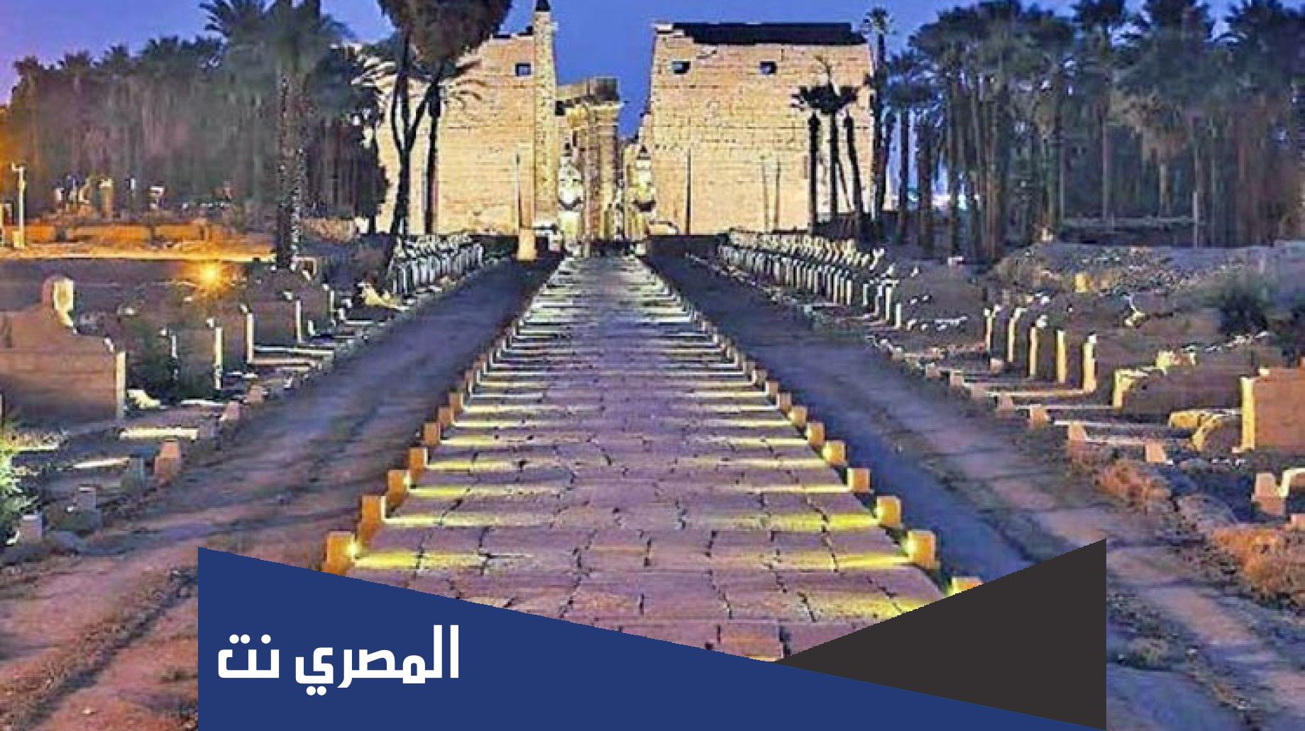 معلومات عن طريق الكباش الجديد