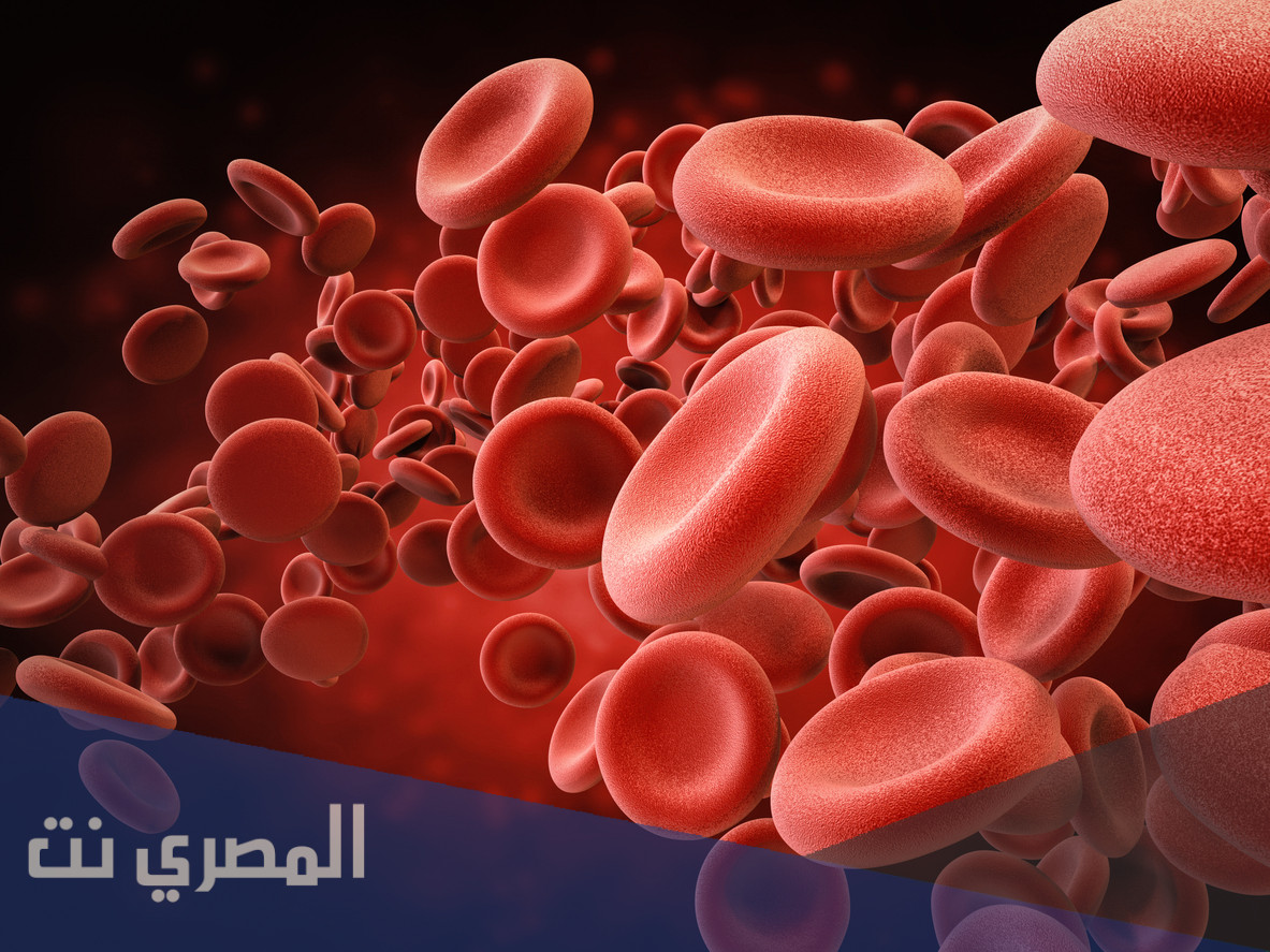 من الذي يعمل على تجلط الدم في الجسم