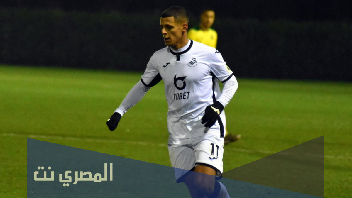 من هو علي الحمادي لاعب سوانزي