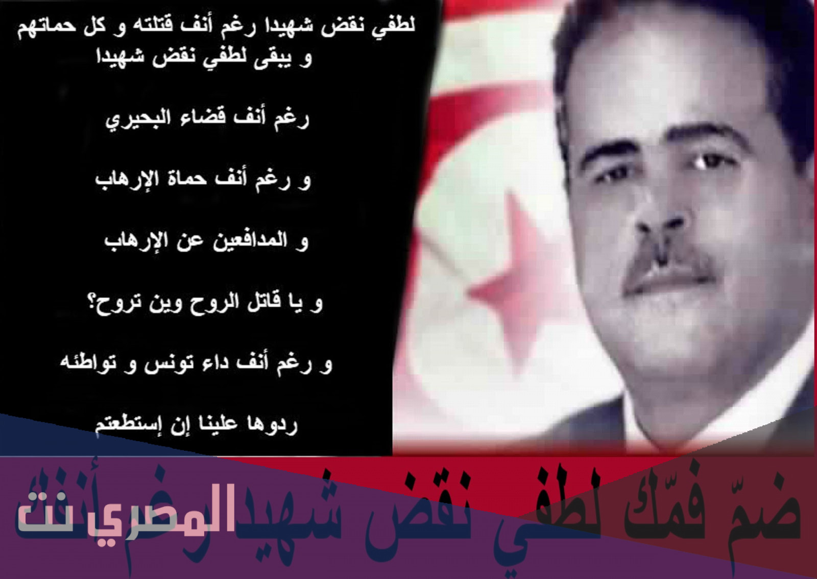 من هو لطفي نقض ويكيبيديا