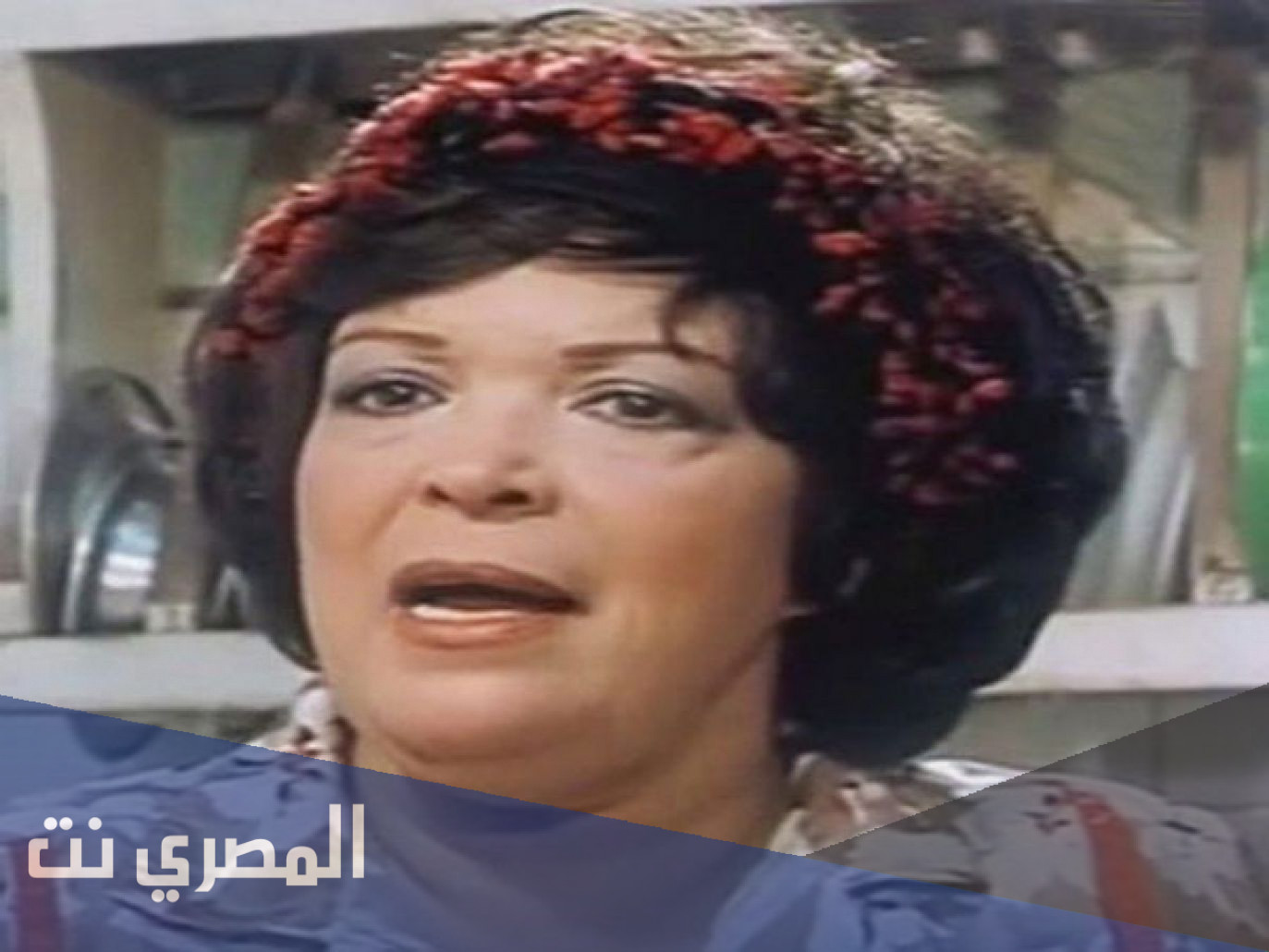 من هي ليلى فهمي زوجة سامح الصريطي