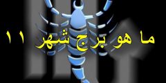 مواليد شهر نوفمبر اي برج