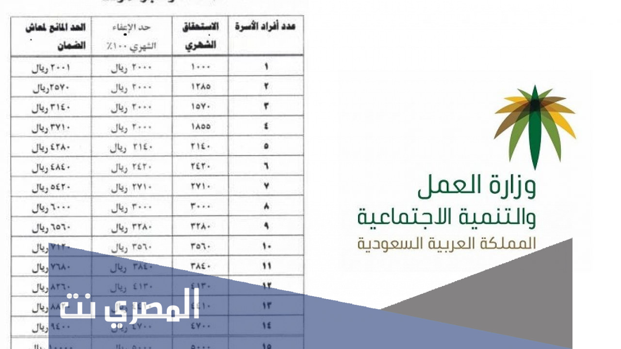 موعد استقبال طلبات الضمان الاجتماعي الجديد