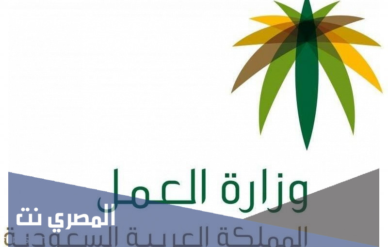 موعد التسجيل في الضمان الاجتماعي الجديد 1443