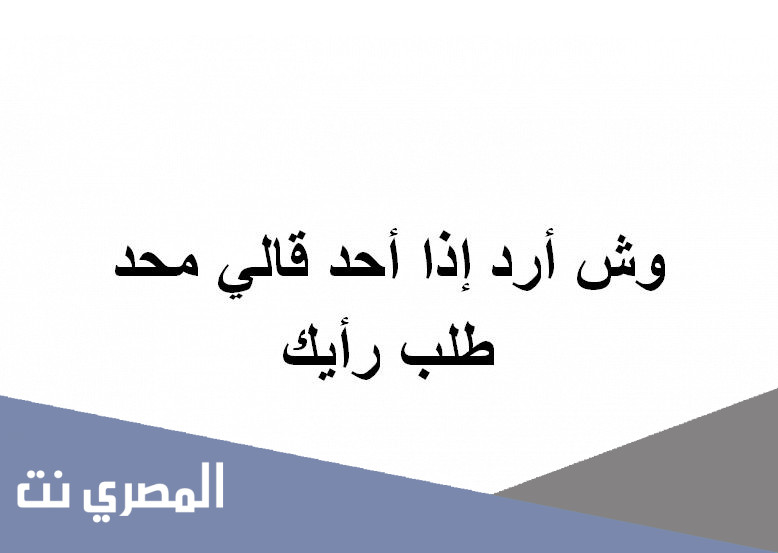 وش أرد إذا أحد قالي محد طلب رأيك