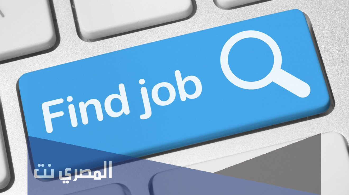 وظائف نسائية بدون تأمينات
