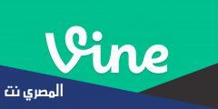 شرح وتحميل تطبيق Vine مجانا للأندرويد والايفون