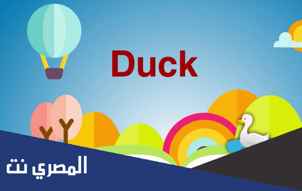 اسم البطه بالانجليزي