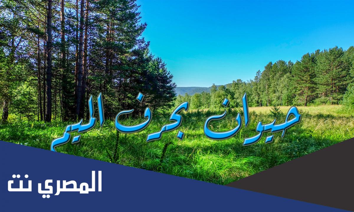 اسم حيوان بحرف الميم