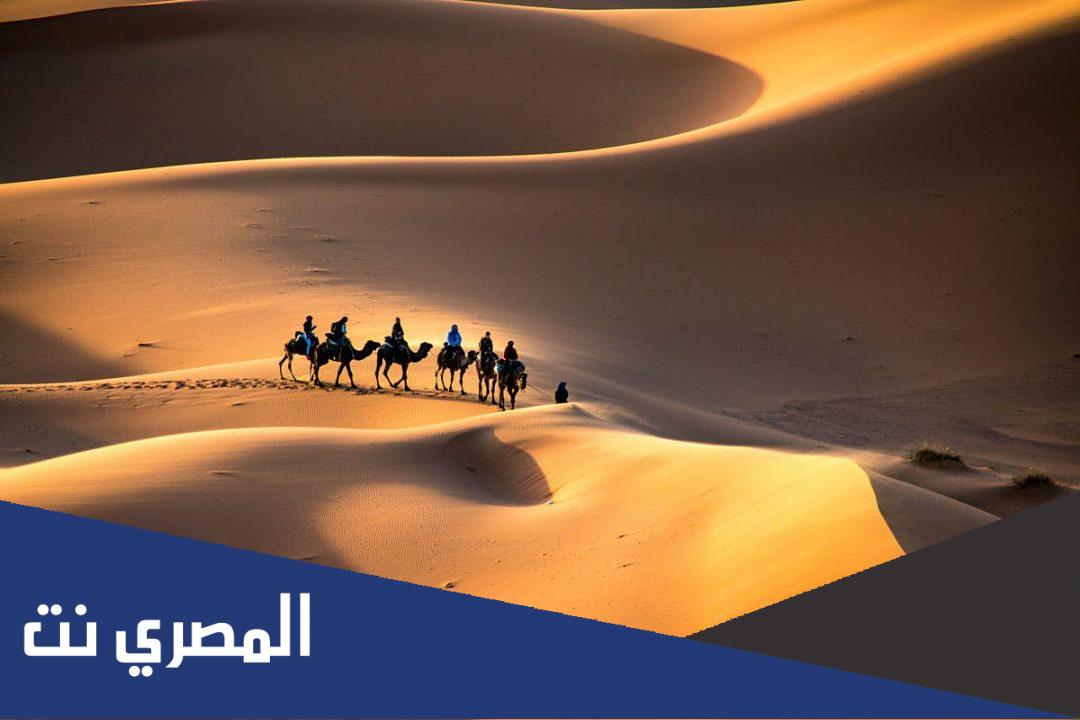 الشعار وش يرجع ، أصل قبيلة الشعا من وين