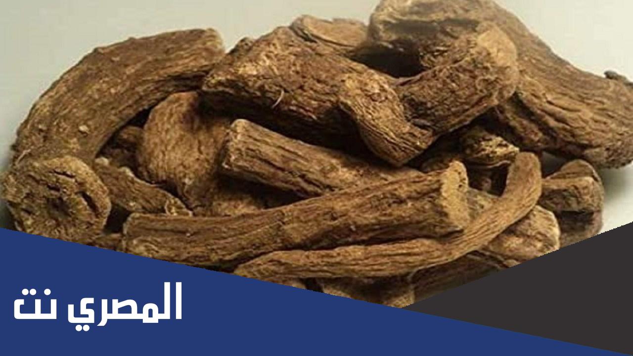 القسط الهندي من جربته ونحفت