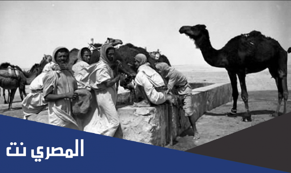 المنيع وش يرجعون