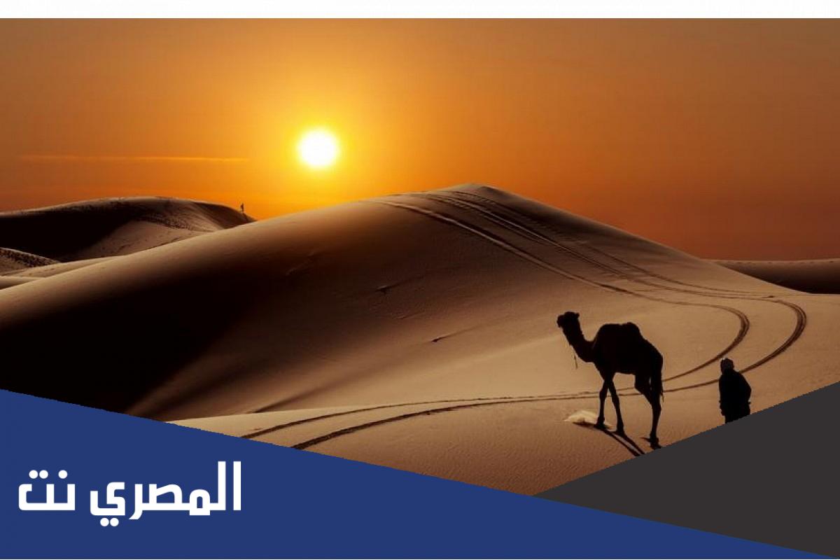الوهيبي وش يرجعون وش اصلهم