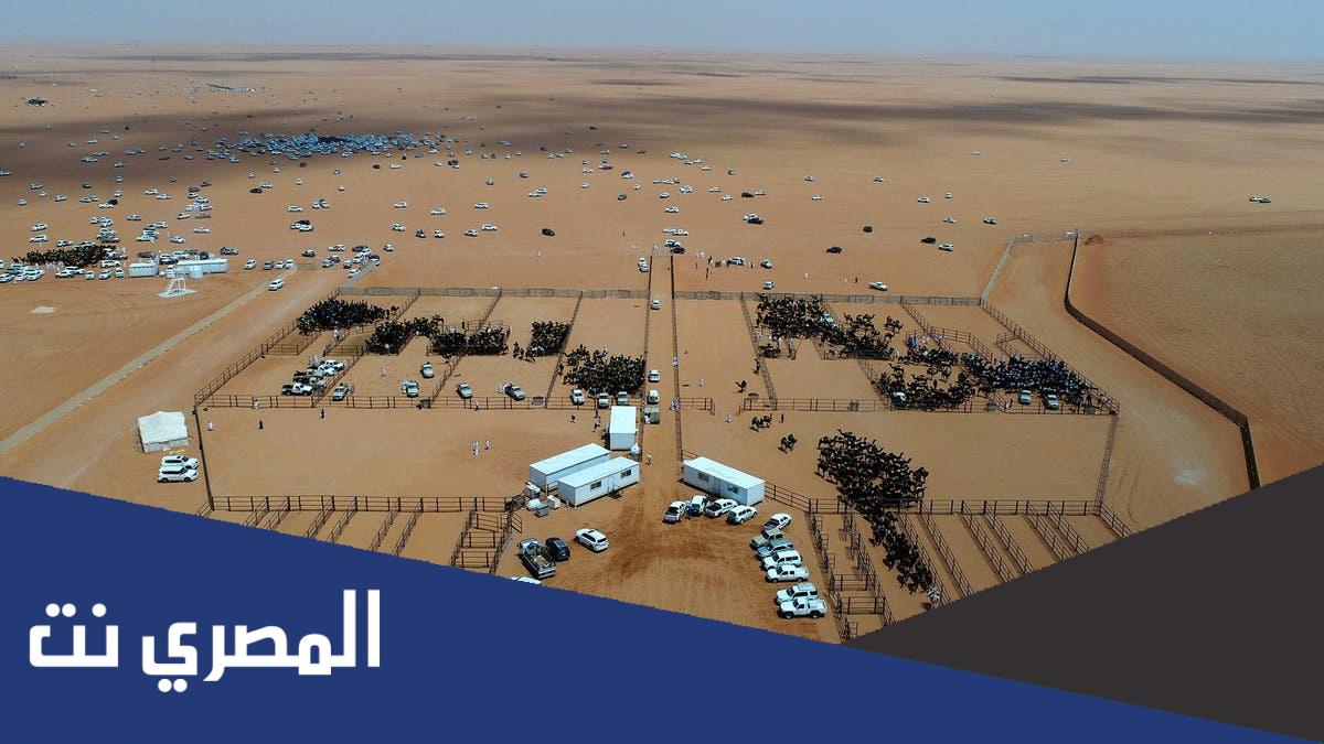 اين تقع الصياهد