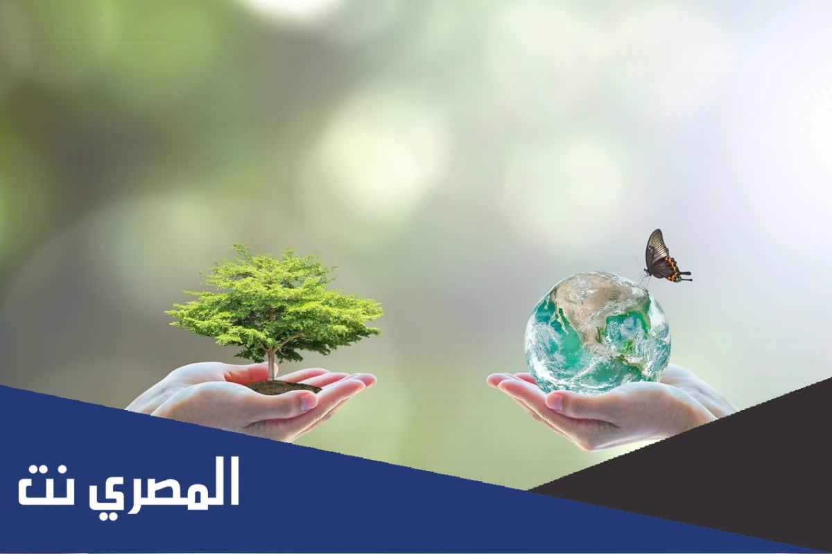 كيف نحافظ على البيئة