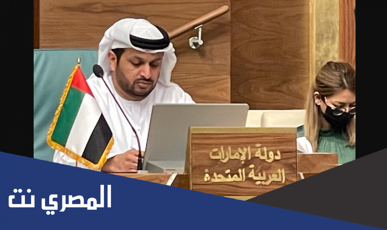 تفاصيل قضية سفير الامارات في مصر