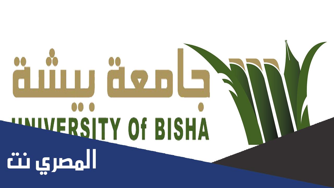 جامعة بيشة التسجيل المباشر registration.ub.edu.sa