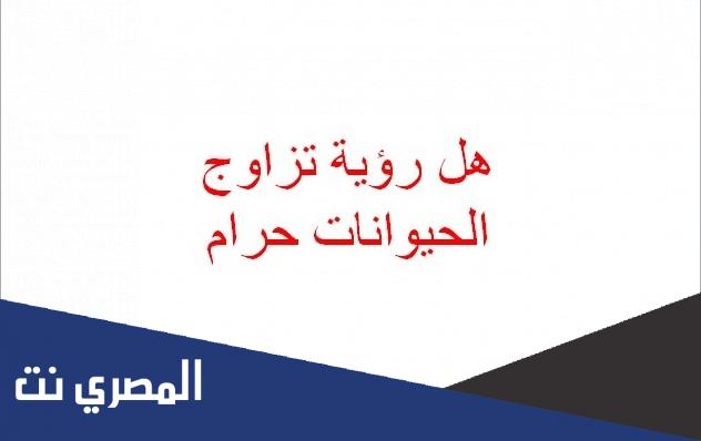هل رؤية تزاوج الحيوانات حرام