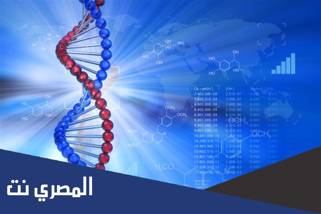 سعر تحليل dna لإثبات النسب في السعودية