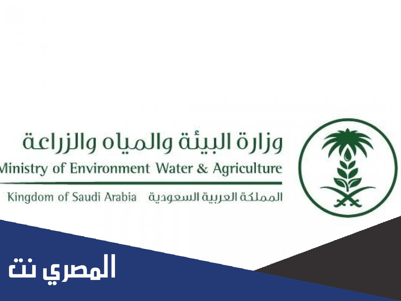 شروط إصدار تصاريح المخيمات في أراضي الغطاء النباتي والمنتزهات بالمملكة