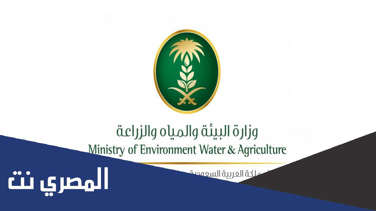 شروط التقديم في وظائف وزارة البيئة