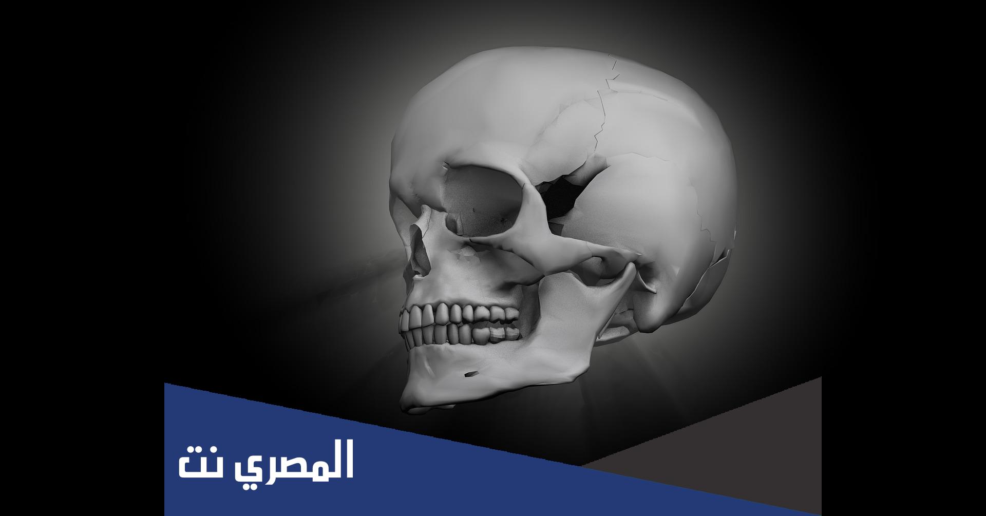 في اي جهاز توجد الجمجمة