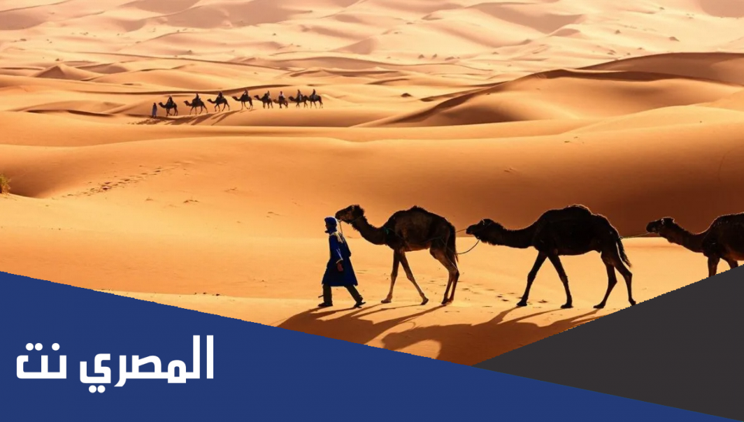 قبيلة الفضول وش يرجعون